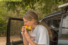 eating papaya